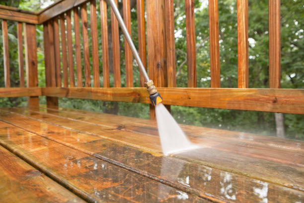 Best Rust Removal  in Pea Ridge, WV